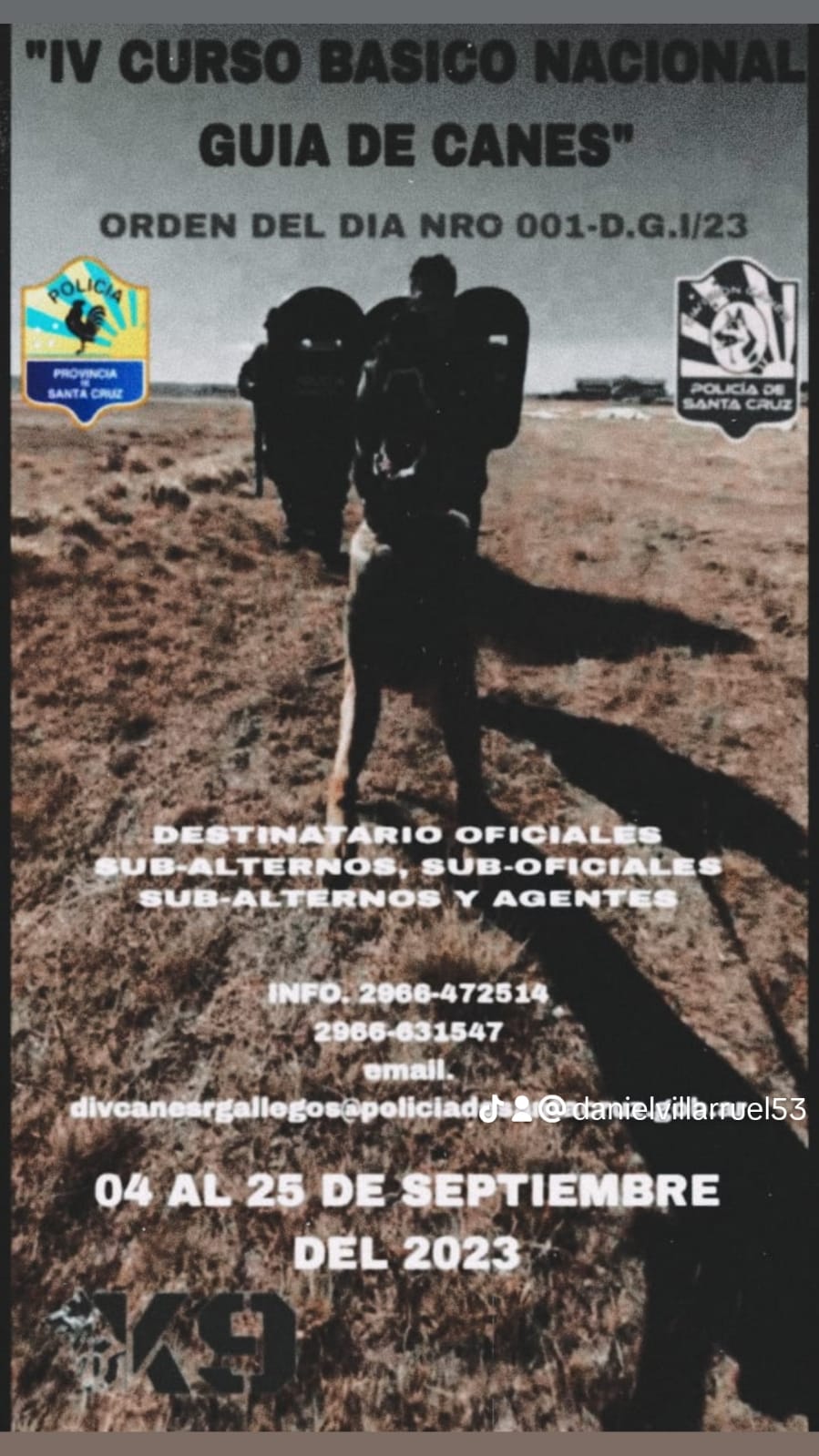 VI Curso básico nacional guía de canes