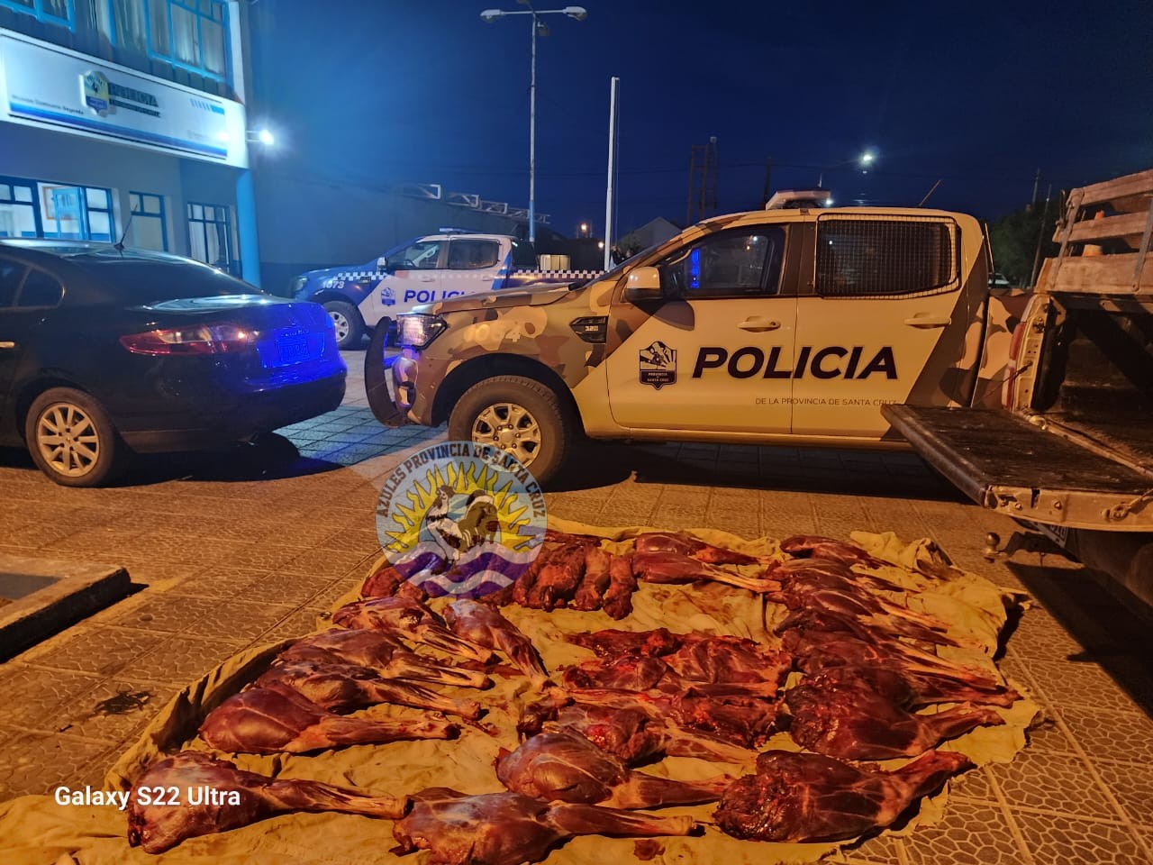 División Operaciones Rurales Caleta Olivia incauta dos terneros faenados (1)