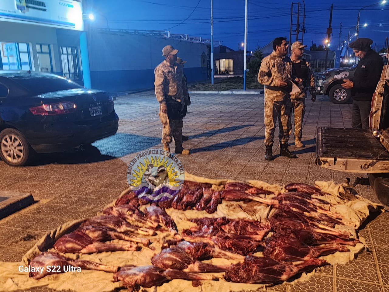 División Operaciones Rurales Caleta Olivia incauta dos terneros faenados (3)
