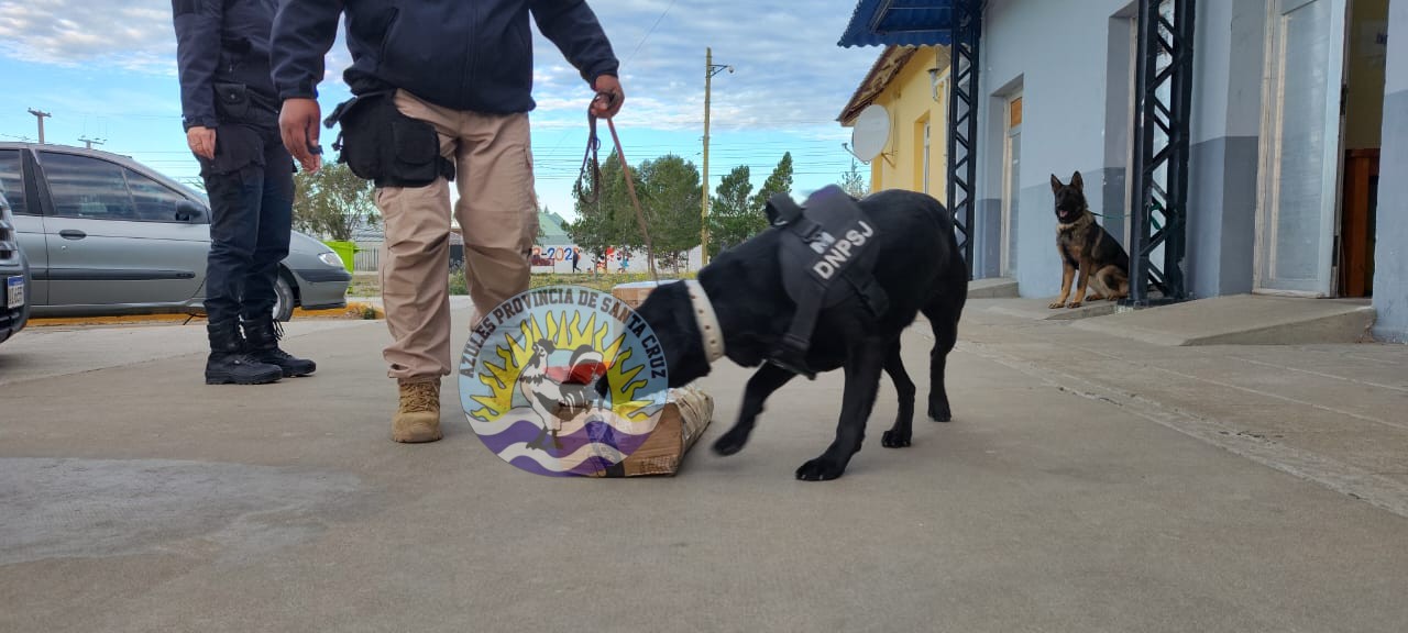 Éxito en control preventivo de paquetería en terminal de ómbibus de Puerto San Julián (3)
