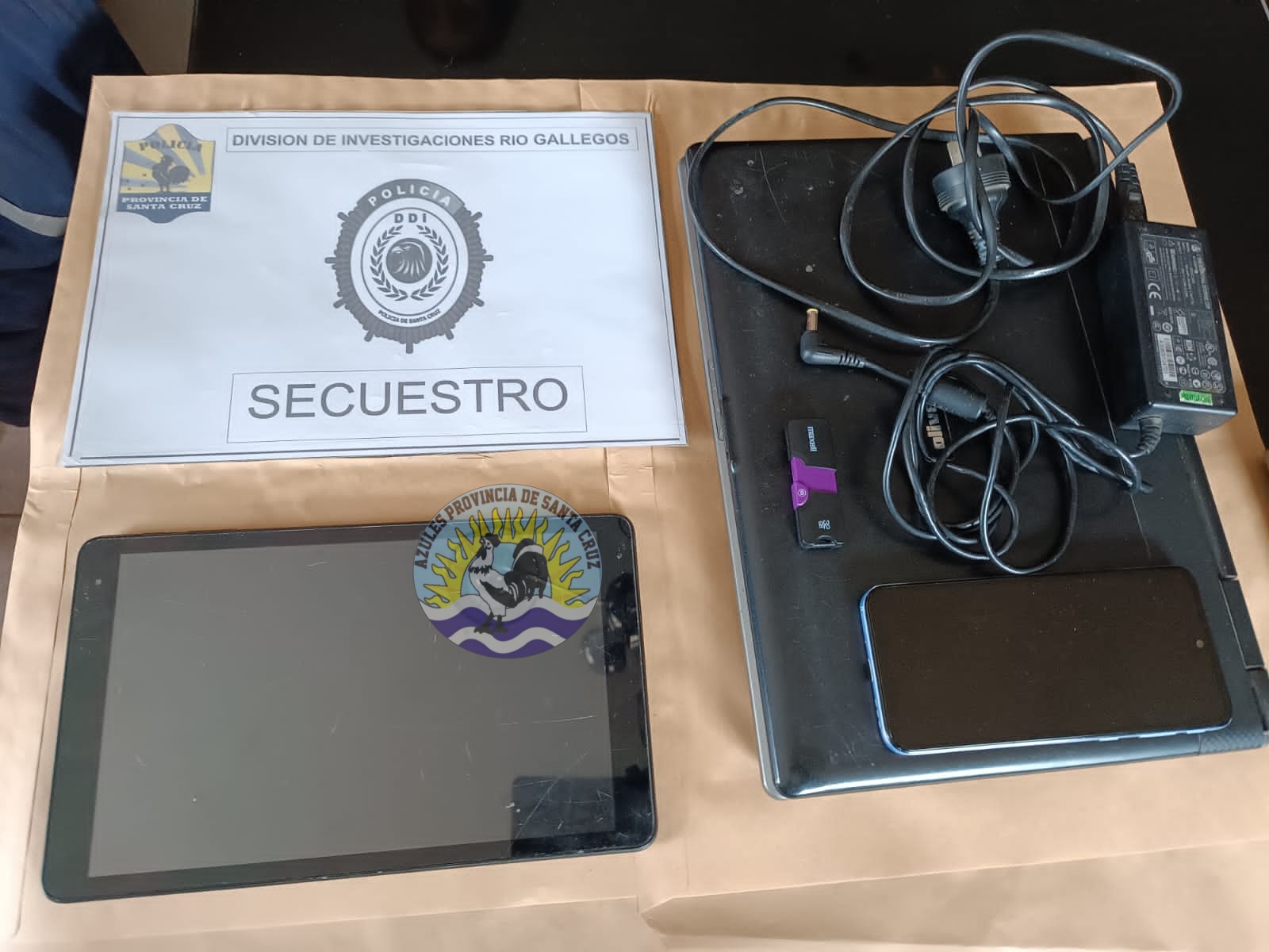 Allanamientos por distribución de imágenes de abuso sexual infantil (2)