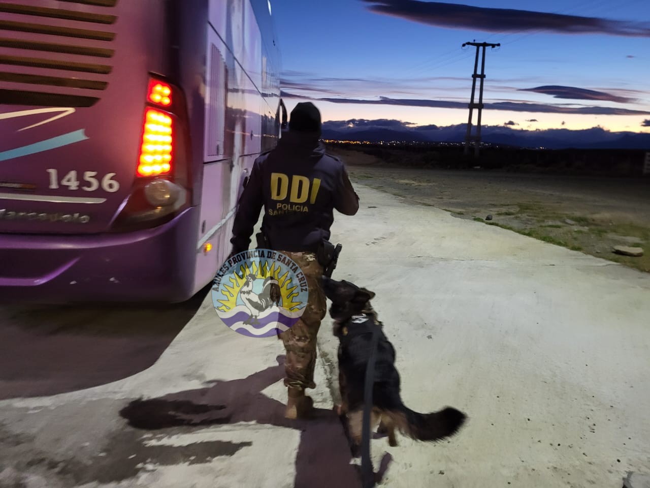 División Narcocriminalidad El Calafate - Sección Canes (2)