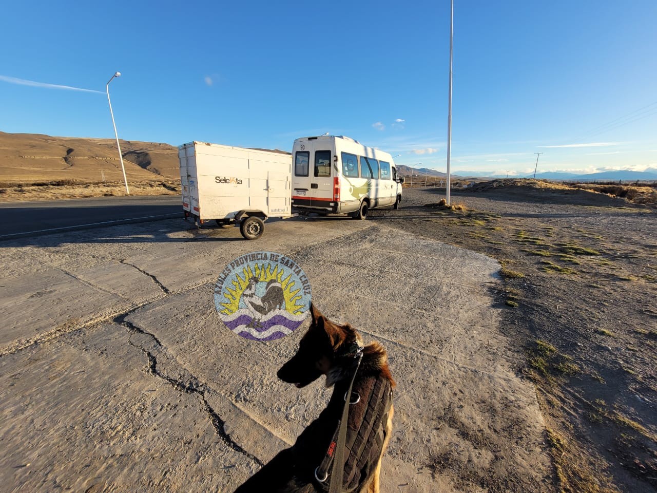 División Narcocriminalidad El Calafate - Sección Canes (3)