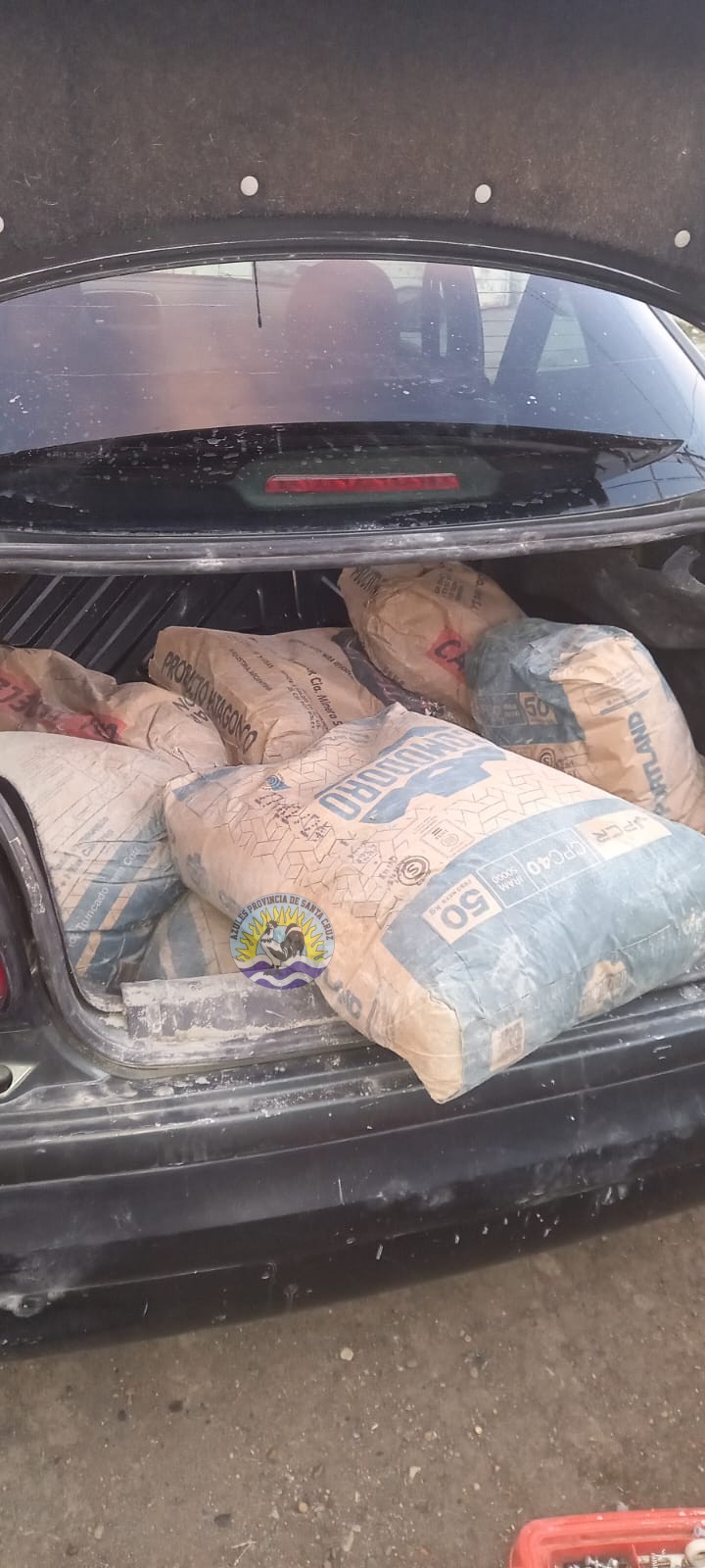 En allanamiento por hurto encuentran recipientes con plantas de marihuana (2)