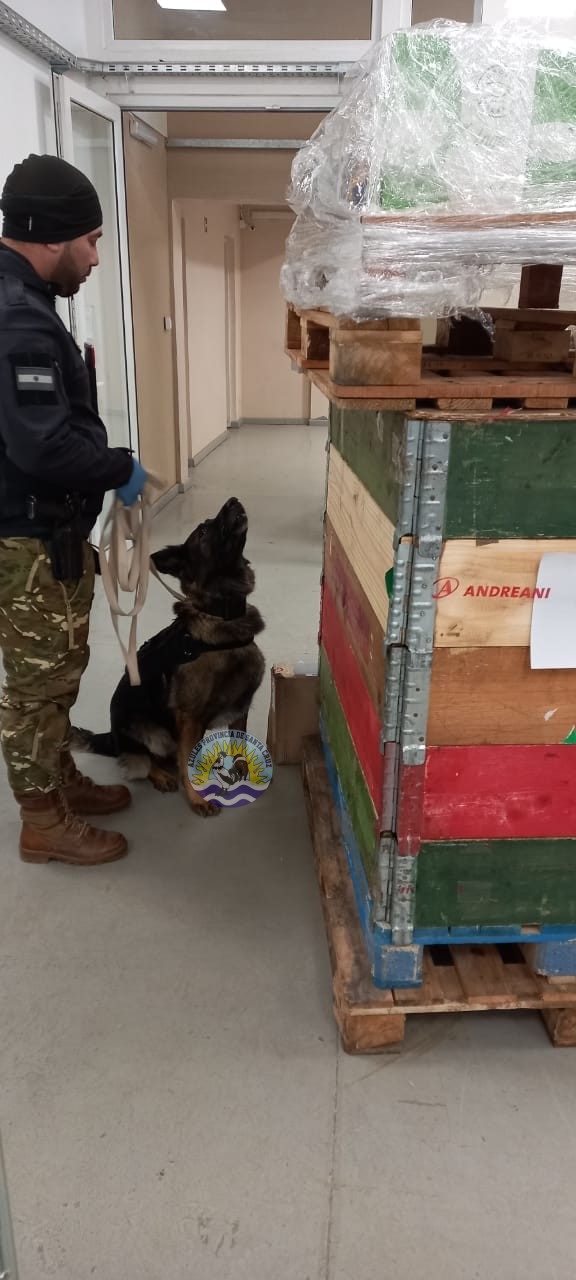 Controles Preventivos de Narcocriminalidad y Sección Canes en El Calafate Detecciones y Compulsas Positivas (1)