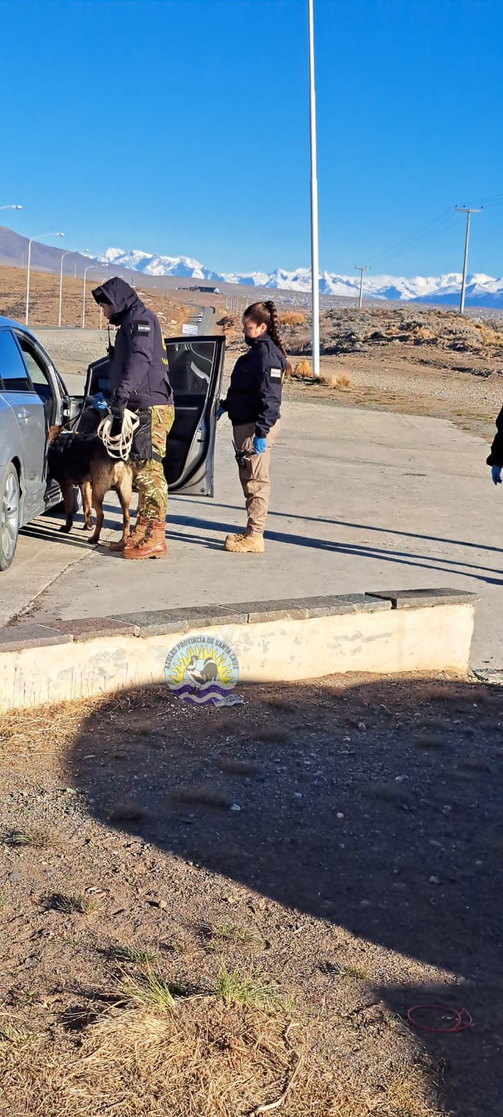 Controles Preventivos de Narcocriminalidad y Sección Canes en El Calafate Detecciones y Compulsas Positivas (11)