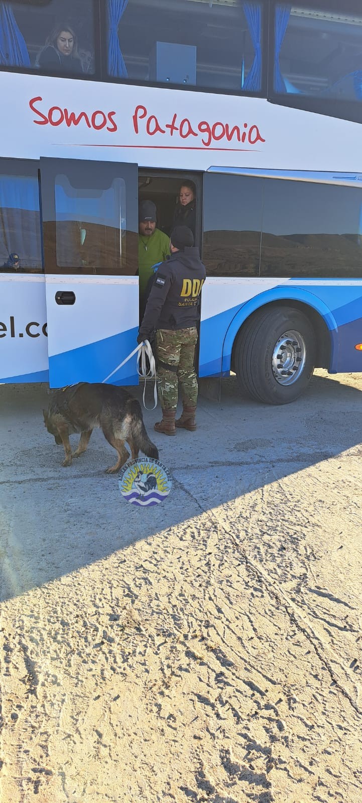 Controles Preventivos de Narcocriminalidad y Sección Canes en El Calafate Detecciones y Compulsas Positivas (13)
