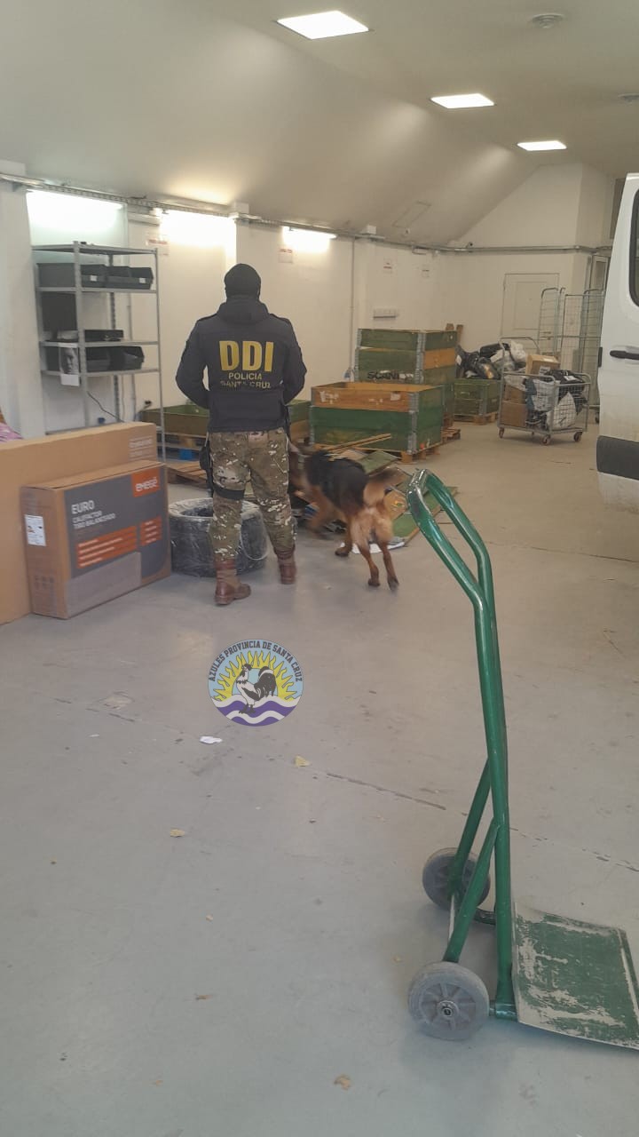 Controles Preventivos de Narcocriminalidad y Sección Canes en El Calafate Detecciones y Compulsas Positivas (3)