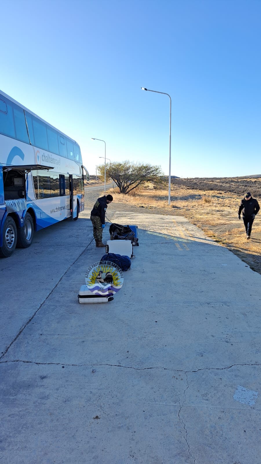 Controles Preventivos de Narcocriminalidad y Sección Canes en El Calafate Detecciones y Compulsas Positivas (4)