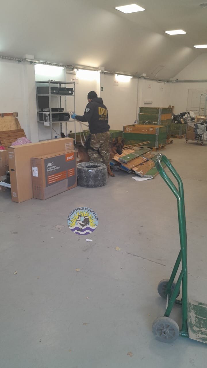 Controles Preventivos de Narcocriminalidad y Sección Canes en El Calafate Detecciones y Compulsas Positivas (5)