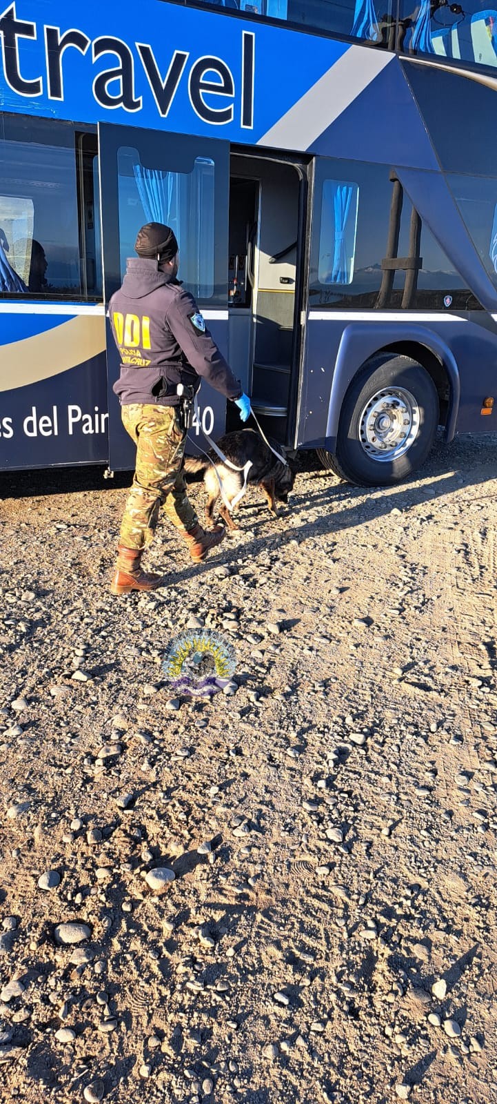 Controles Preventivos de Narcocriminalidad y Sección Canes en El Calafate Detecciones y Compulsas Positivas (7)