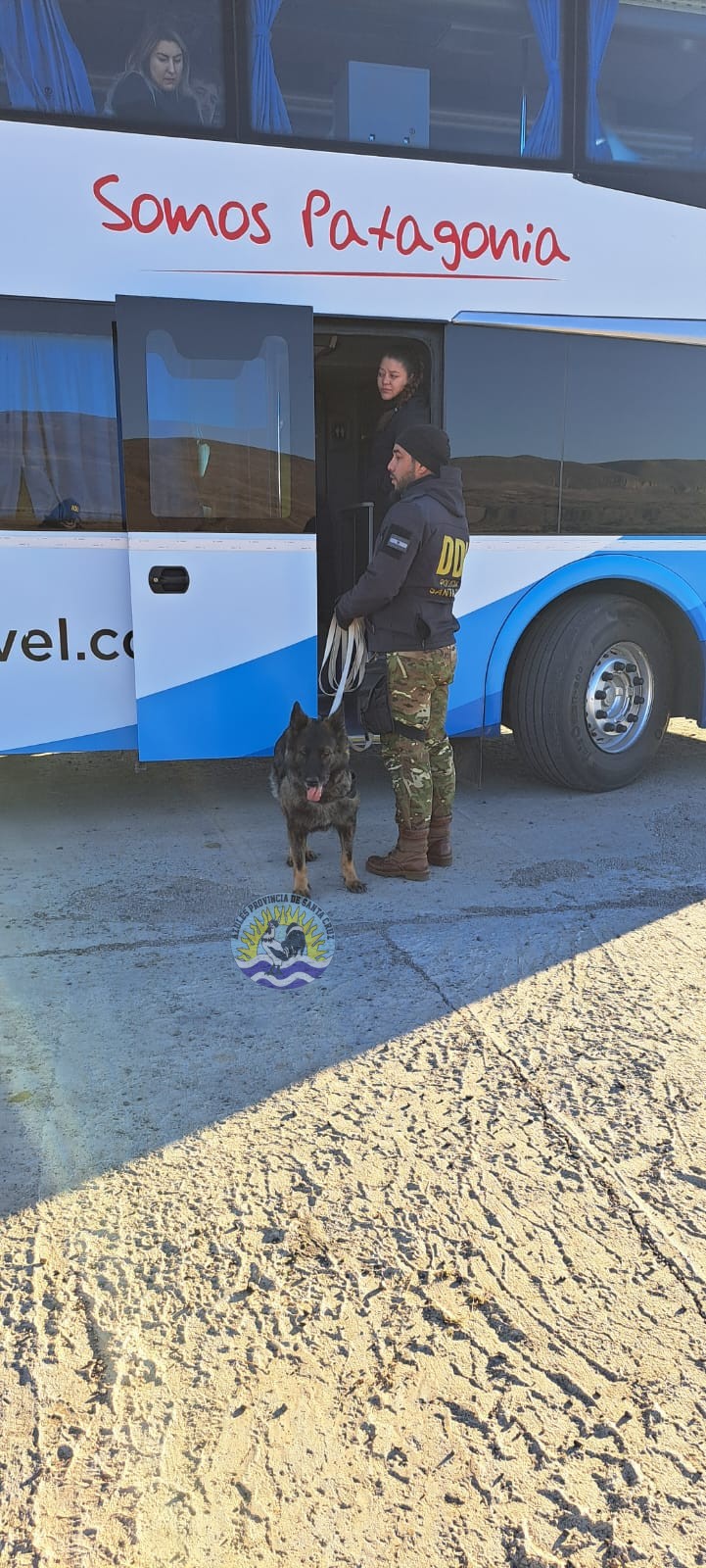 Controles Preventivos de Narcocriminalidad y Sección Canes en El Calafate Detecciones y Compulsas Positivas (8)