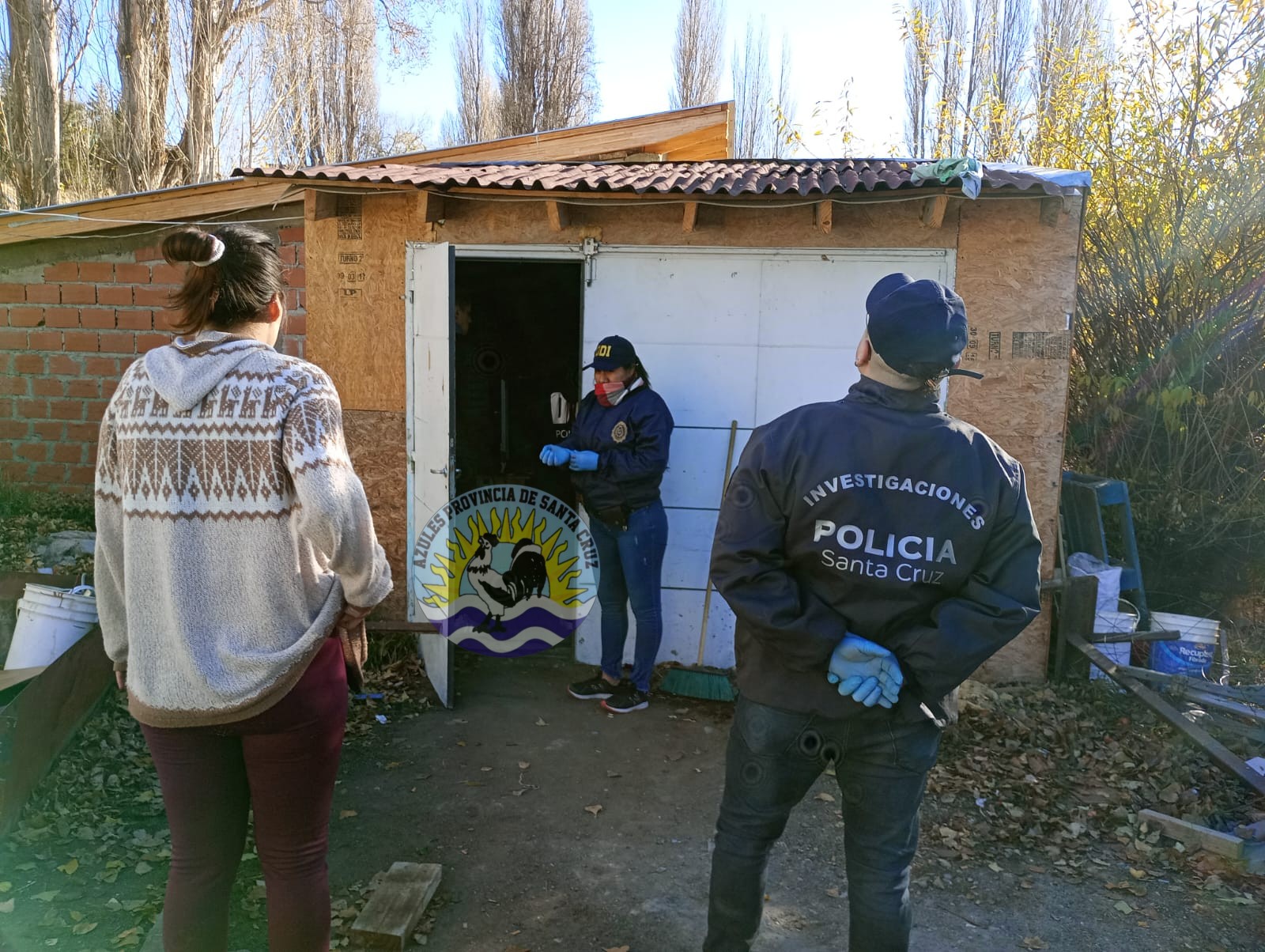 Hallazgo de Plantas de Cannabis en Allanamiento por Robo en El Calafate (1)