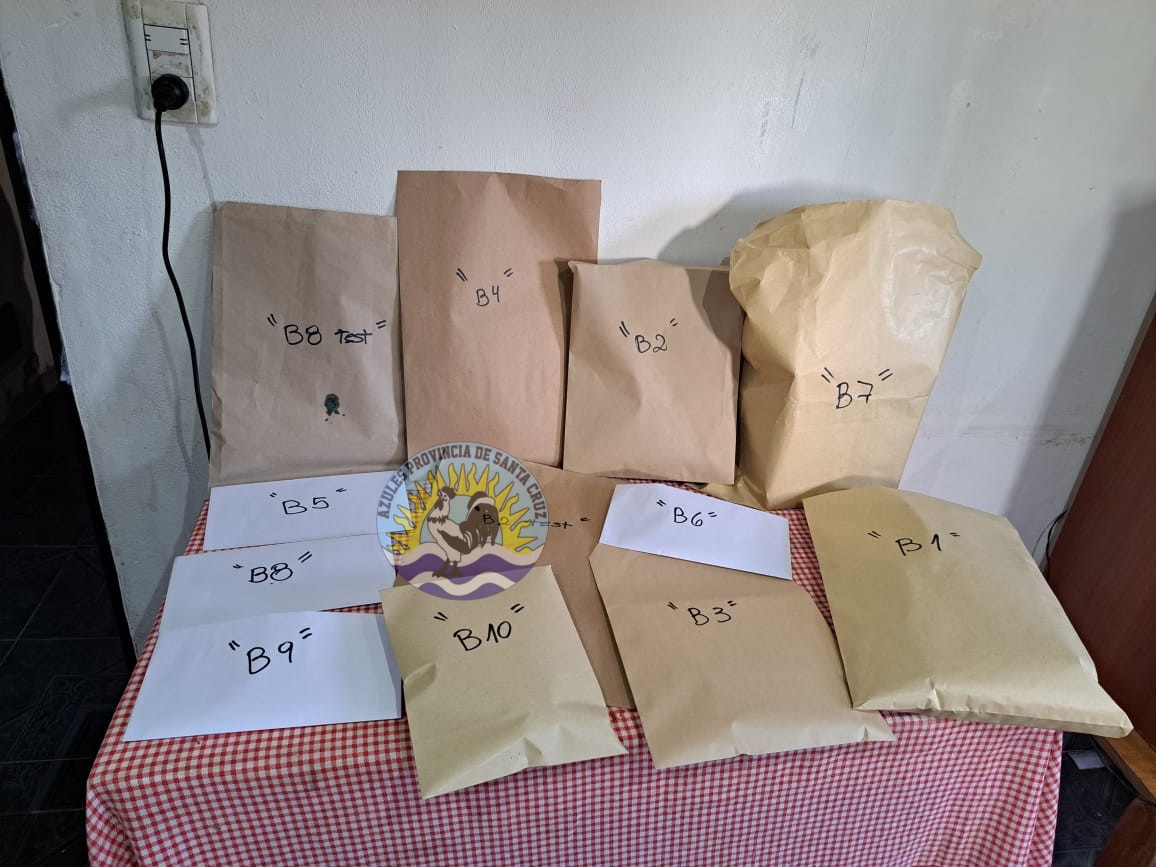 Operativo Bordolino desmantela red de narcotráfico en El Calafate (1)