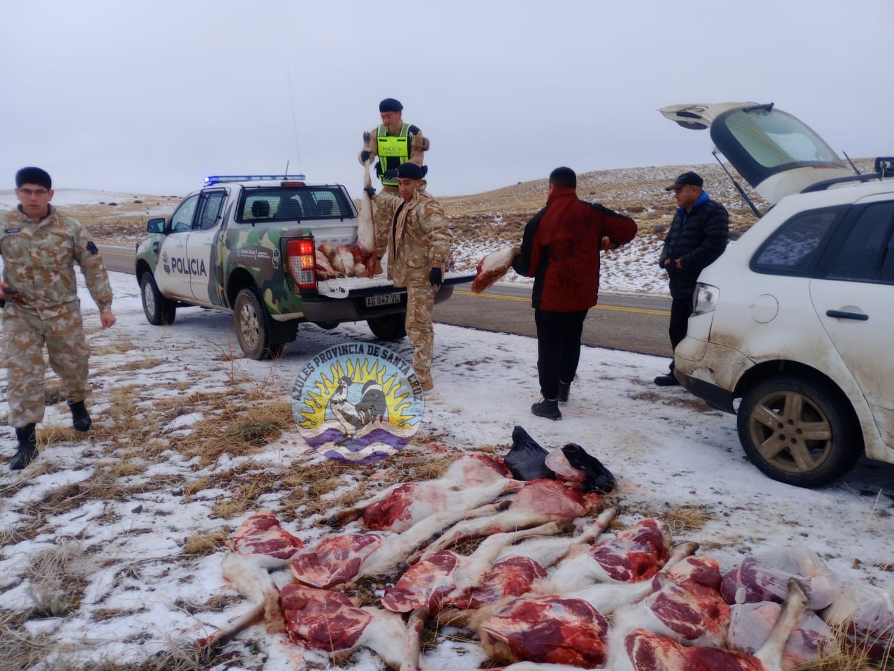 Procedimiento de la división operaciones rurales El Calafate por infracción a la ley de fauna silvestre (2)