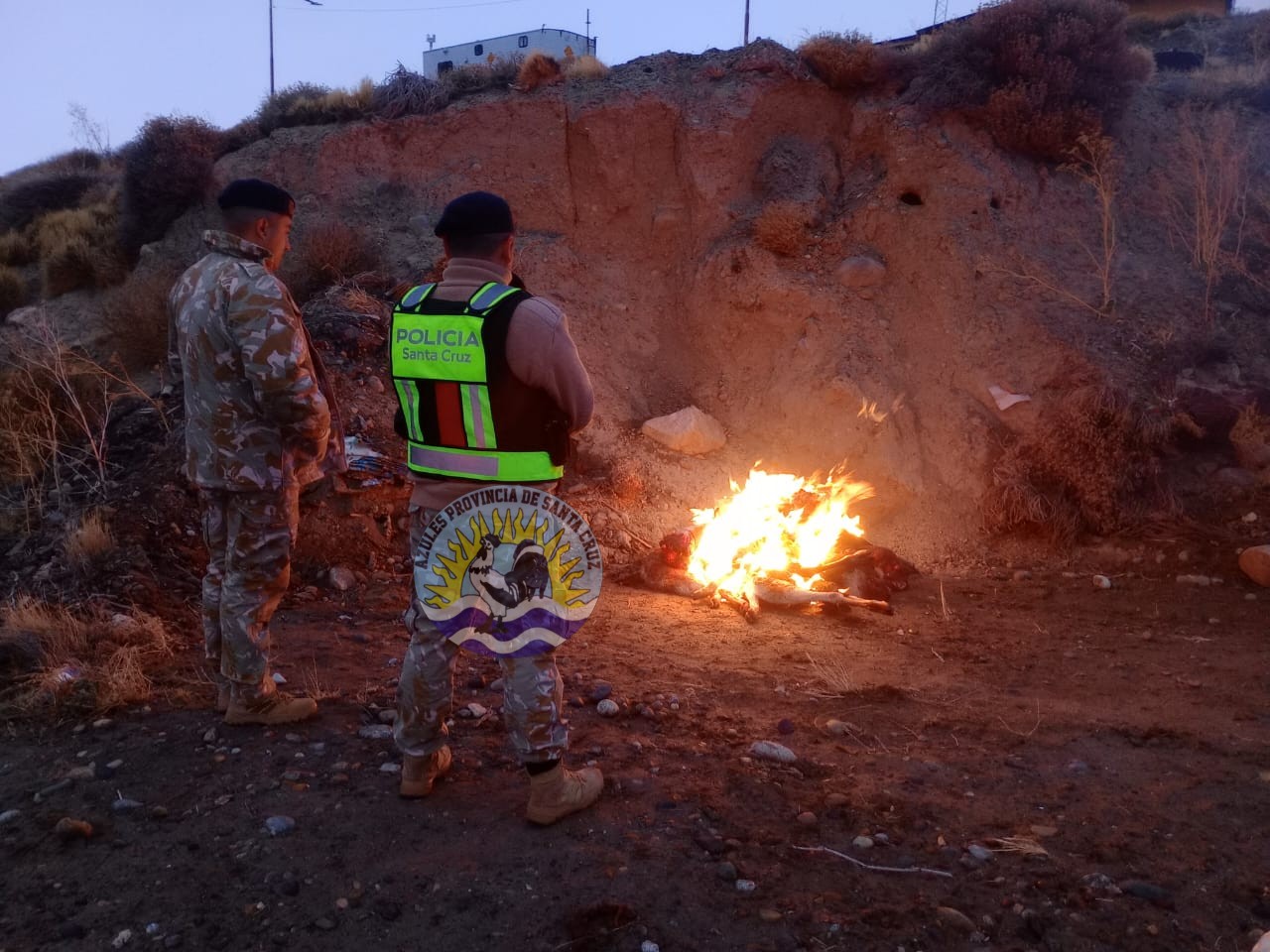 Procedimiento de la división operaciones rurales El Calafate por infracción a la ley de fauna silvestre (6)