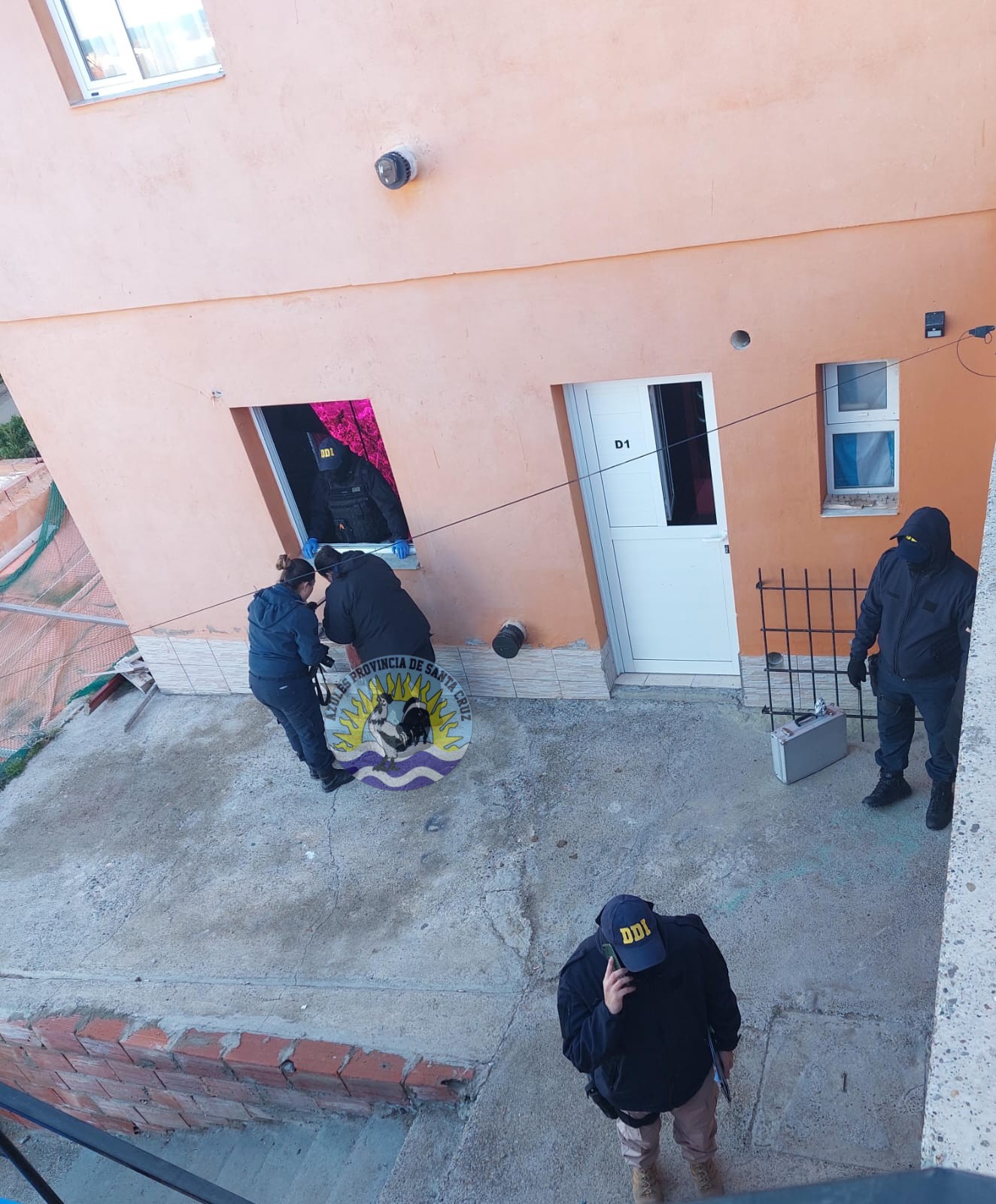Puerto Deseado Dos allanamientos roban cultivos de marihuana (2)