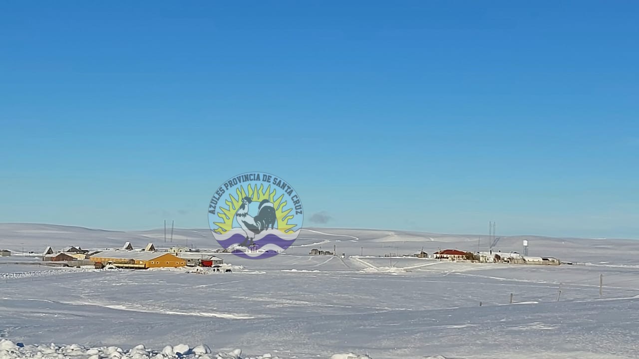 Operativo en Ruta 40 Personal S.U.O.C.K. Resguarda Ovejas y Recibe Reconocimiento (3)