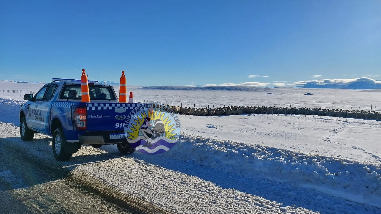 Operativo en Ruta 40 Personal S.U.O.C.K. Resguarda Ovejas y Recibe Reconocimiento (4)