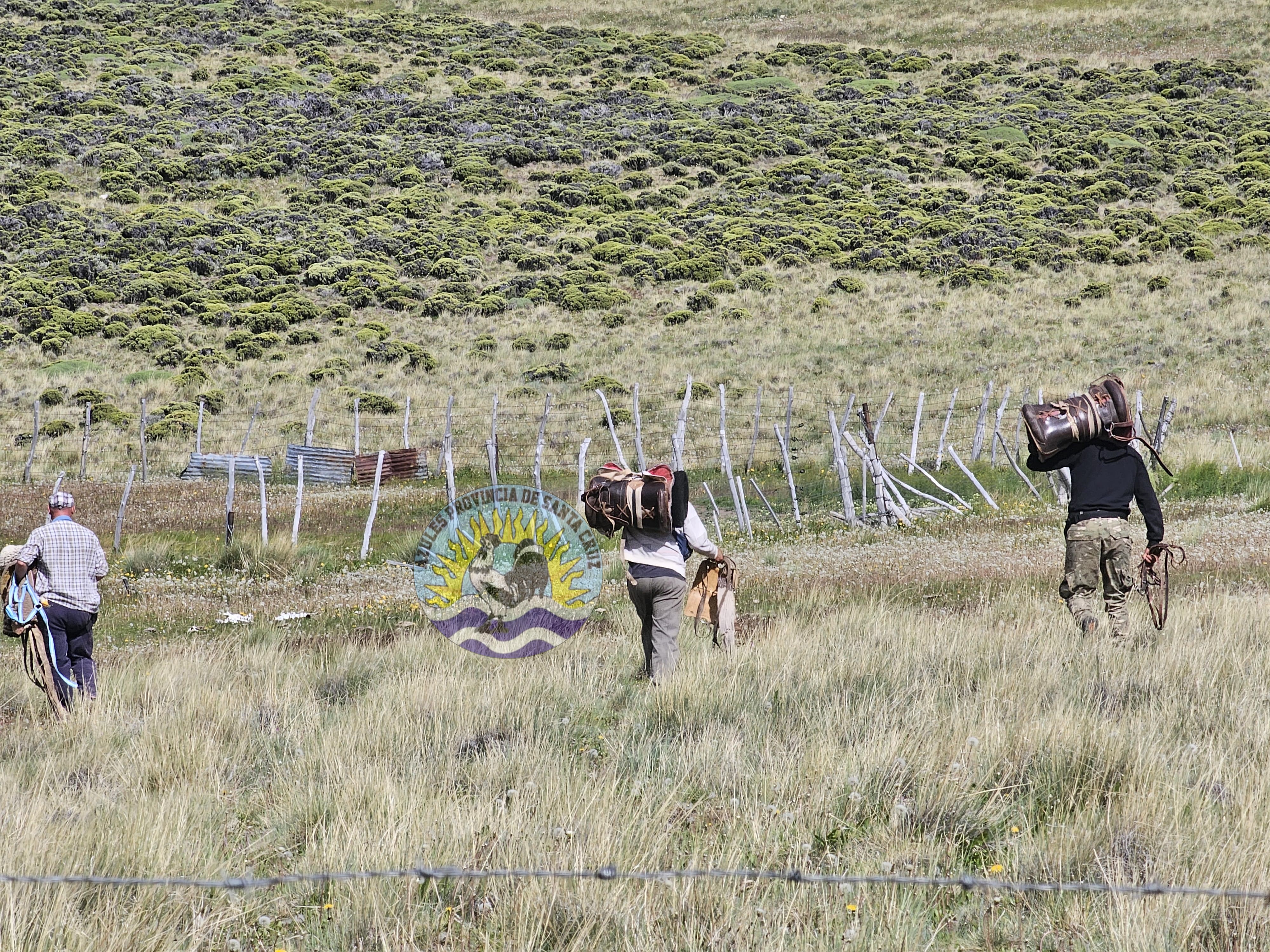 Operativos de la División Operaciones Rurales Perito Moreno en la zona noroeste de Santa Cruz (1)