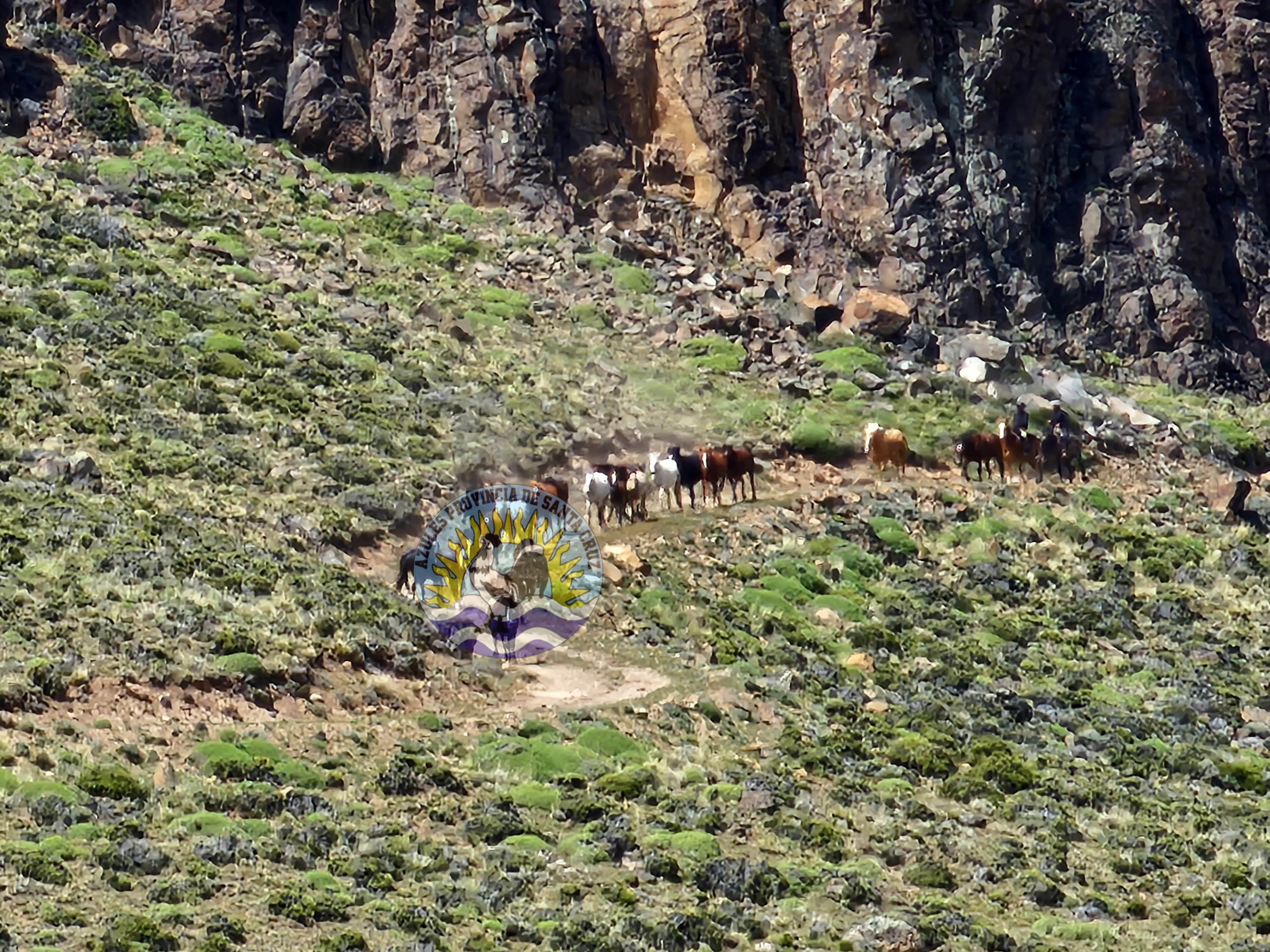 Operativos de la División Operaciones Rurales Perito Moreno en la zona noroeste de Santa Cruz (3)