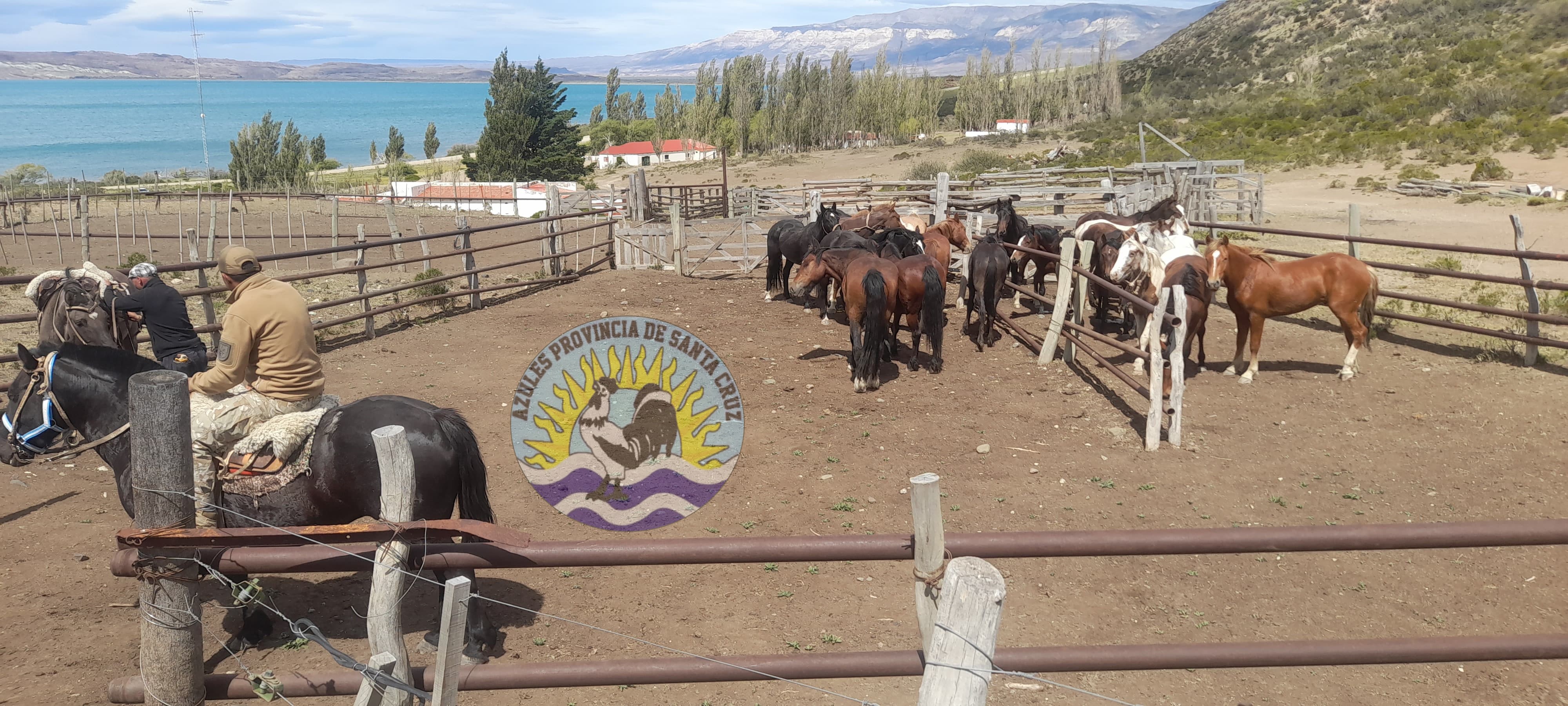 Operativos de la División Operaciones Rurales Perito Moreno en la zona noroeste de Santa Cruz (5)