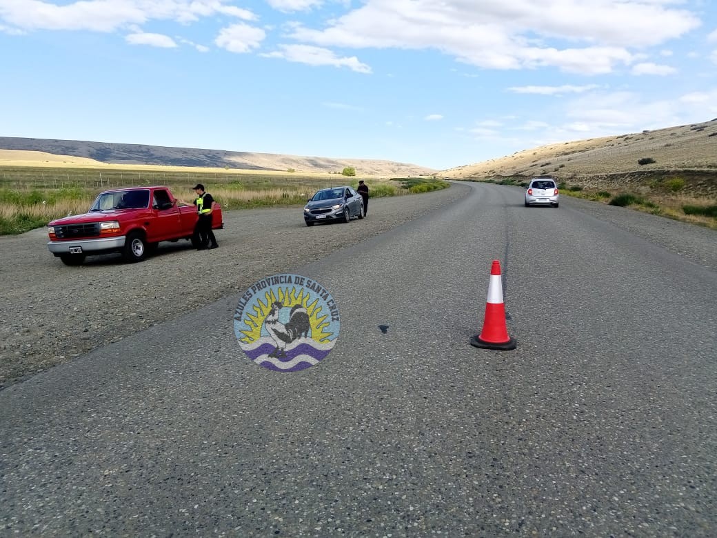 Prevención vial Recomendaciones ante la presencia de animales en las rutas provinciales y nacionales de Santa Cruz (2)