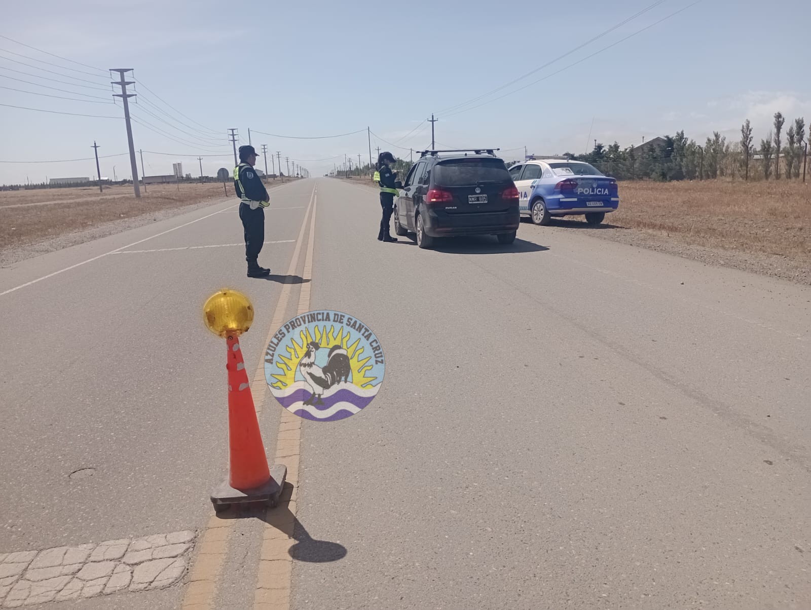 Prevención vial Recomendaciones ante la presencia de animales en las rutas provinciales y nacionales de Santa Cruz (3)