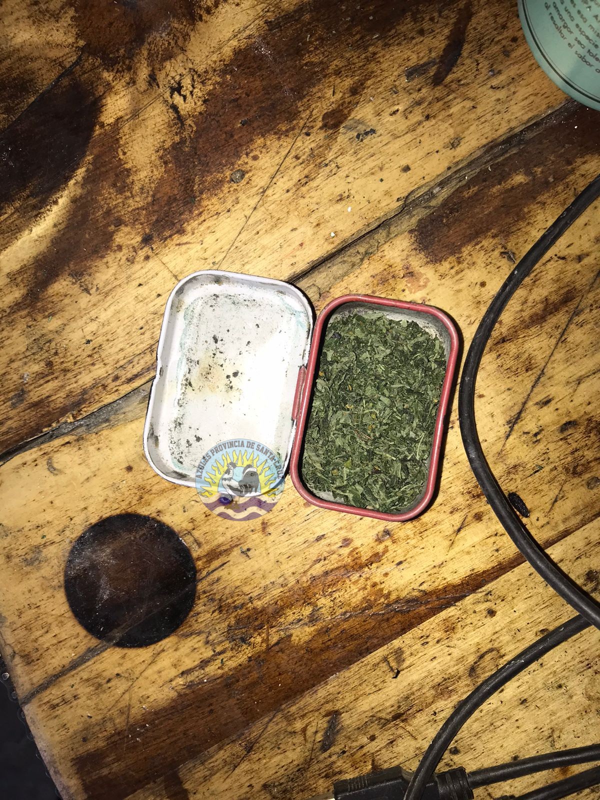 Div de Investigaciones y Narcocriminalidad E.C Sección Canes El Calafate (4)