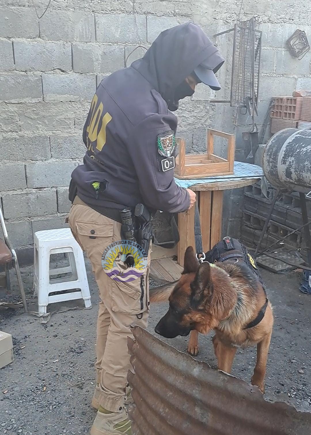 Div de Investigaciones y Narcocriminalidad E.C Sección Canes El Calafate (7)