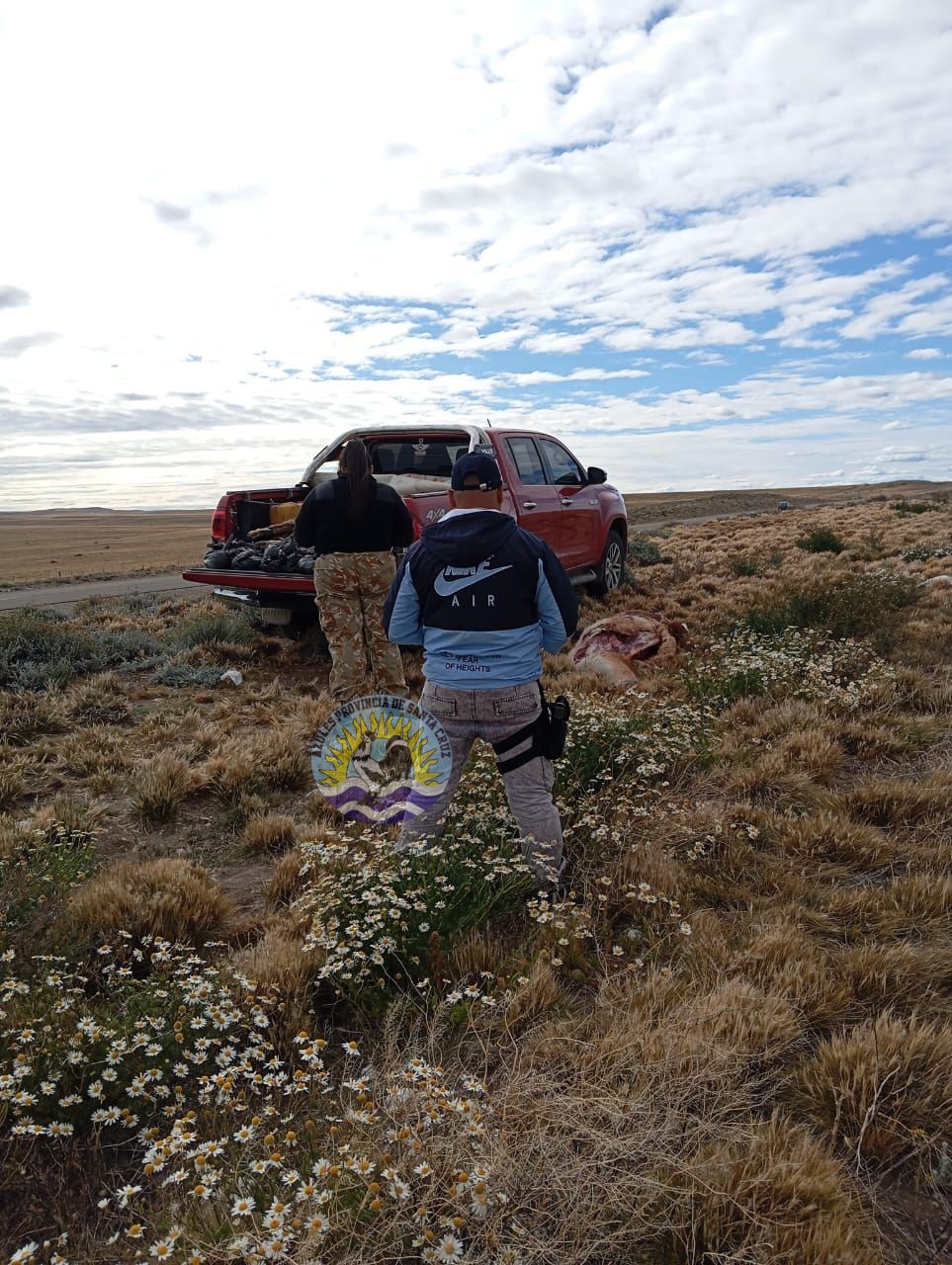 El Calafate Detectan caza ilegal de guanacos en la Ruta 40 (3)