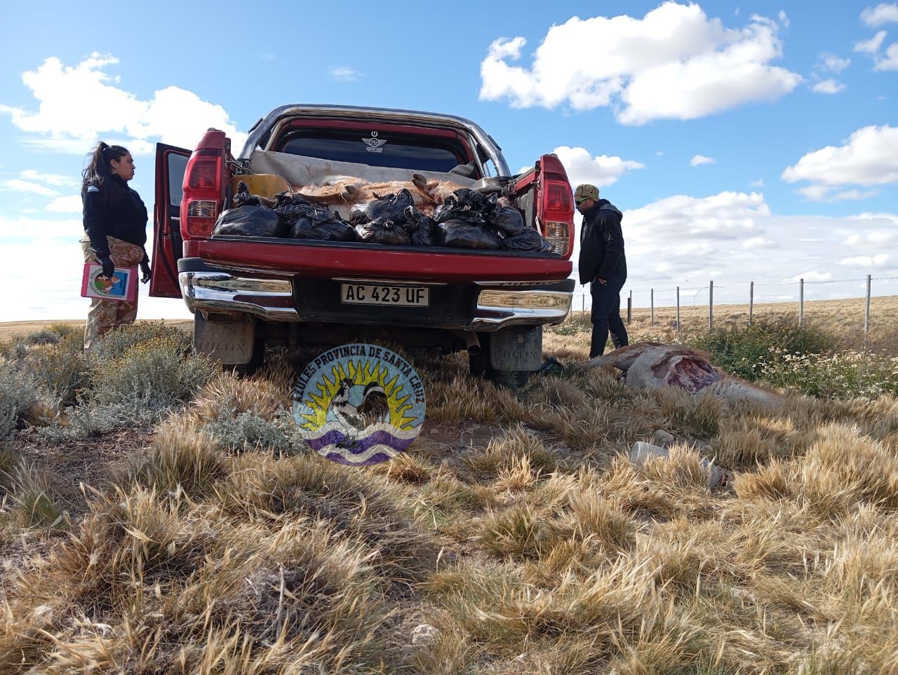 El Calafate Detectan caza ilegal de guanacos en la Ruta 40 (7)