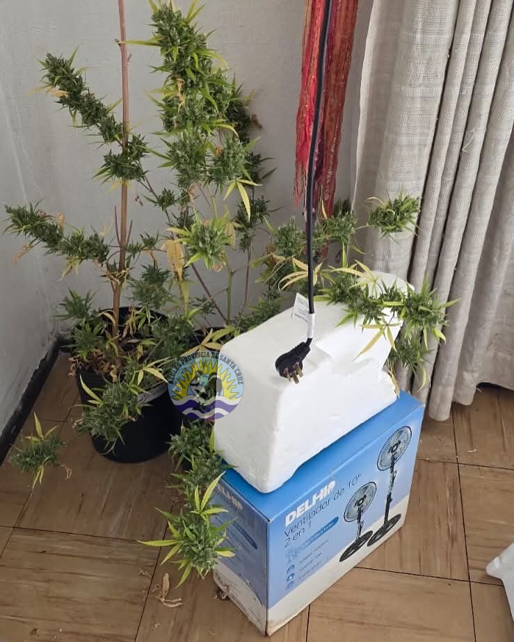 Se descompensó, llegó la policia y la descubrieron con más de 2kg de droga (1)