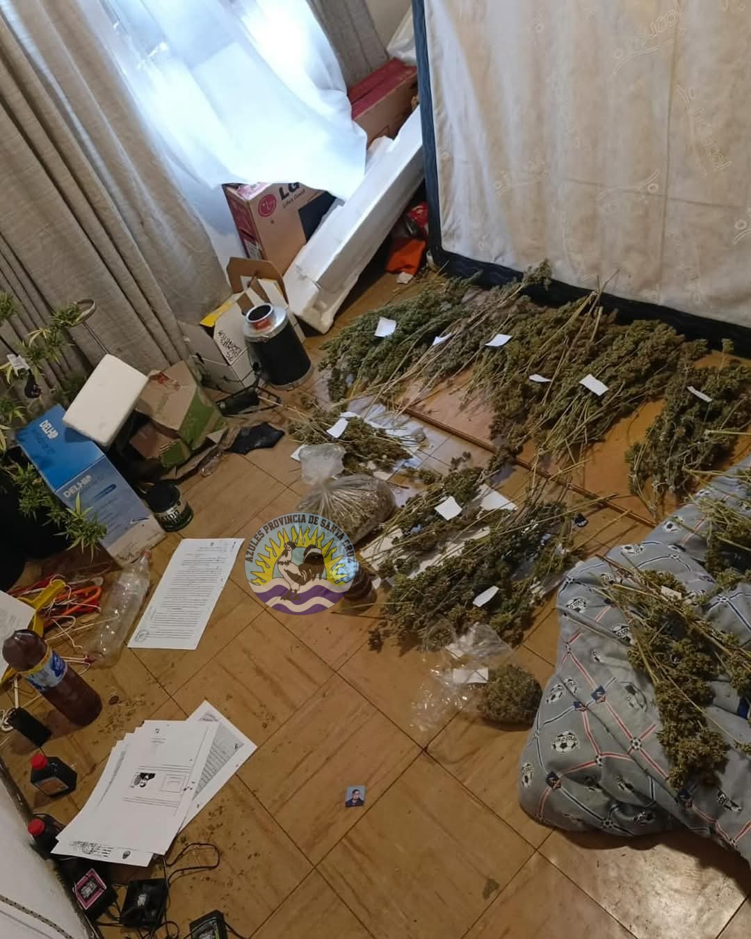 Se descompensó, llegó la policia y la descubrieron con más de 2kg de droga (5)