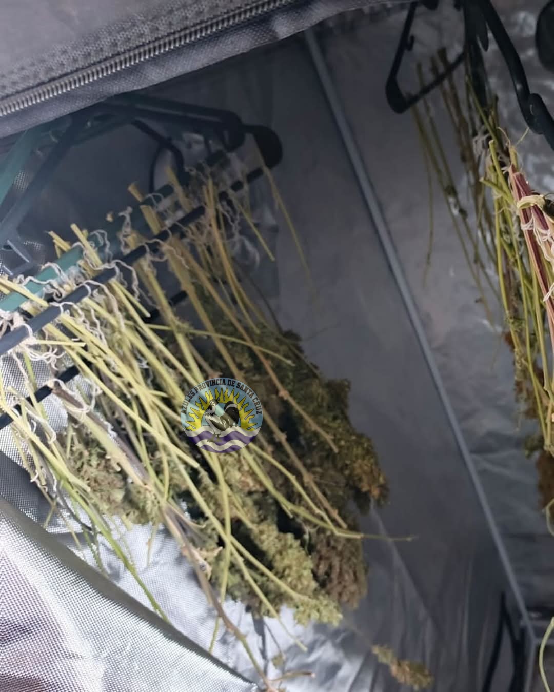 Se descompensó, llegó la policia y la descubrieron con más de 2kg de droga (8)