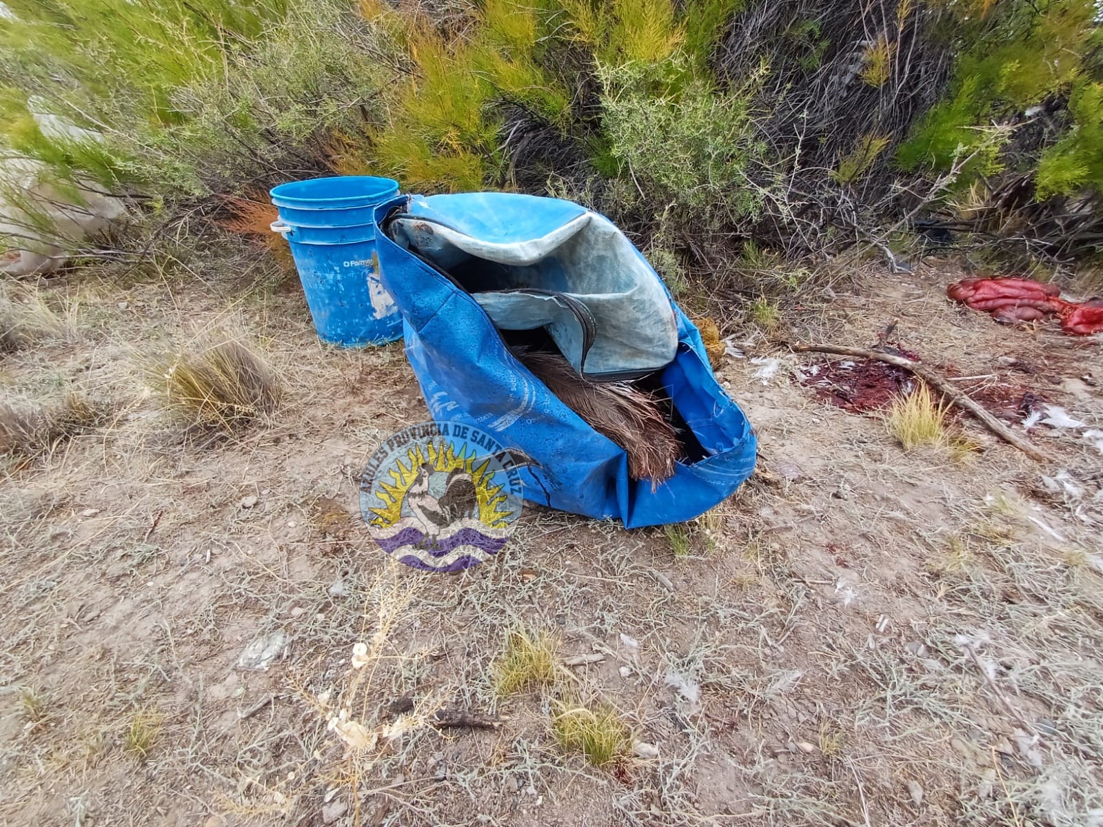 Secuestran arma de fuego y decomisan animales silvestres en operativo rural (4)