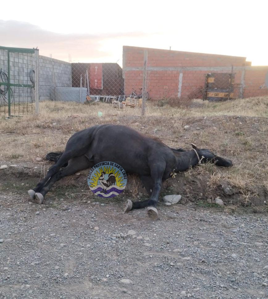 Operativos de seguridad rural Controles preventivos en distintas localidades de la provincia (2)