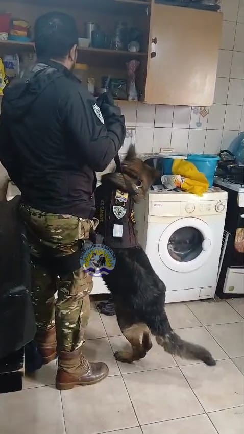 No hay dos sin tres Importante operativo antidrogas en El Calafate (2)