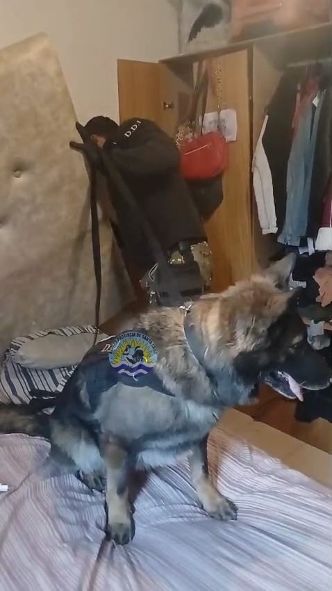 No hay dos sin tres Importante operativo antidrogas en El Calafate (3)