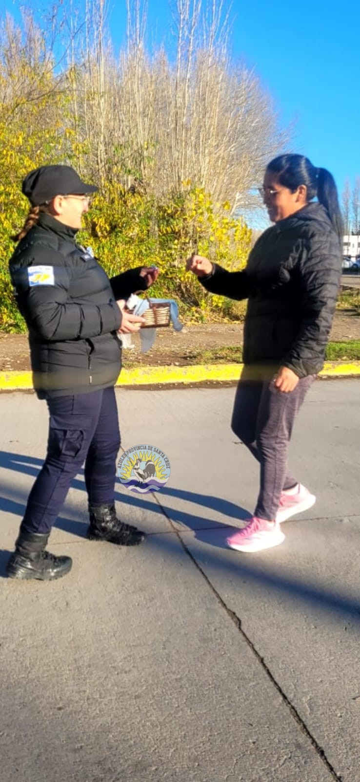 Los Antiguos Rinde Homenaje a la Bandera Entrega de Escarapelas y Cintas por la Comisaría (10)