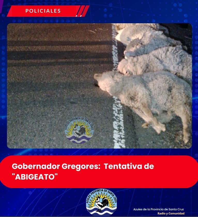 Tentativa de abigeato en Gobernador Gregores (2)