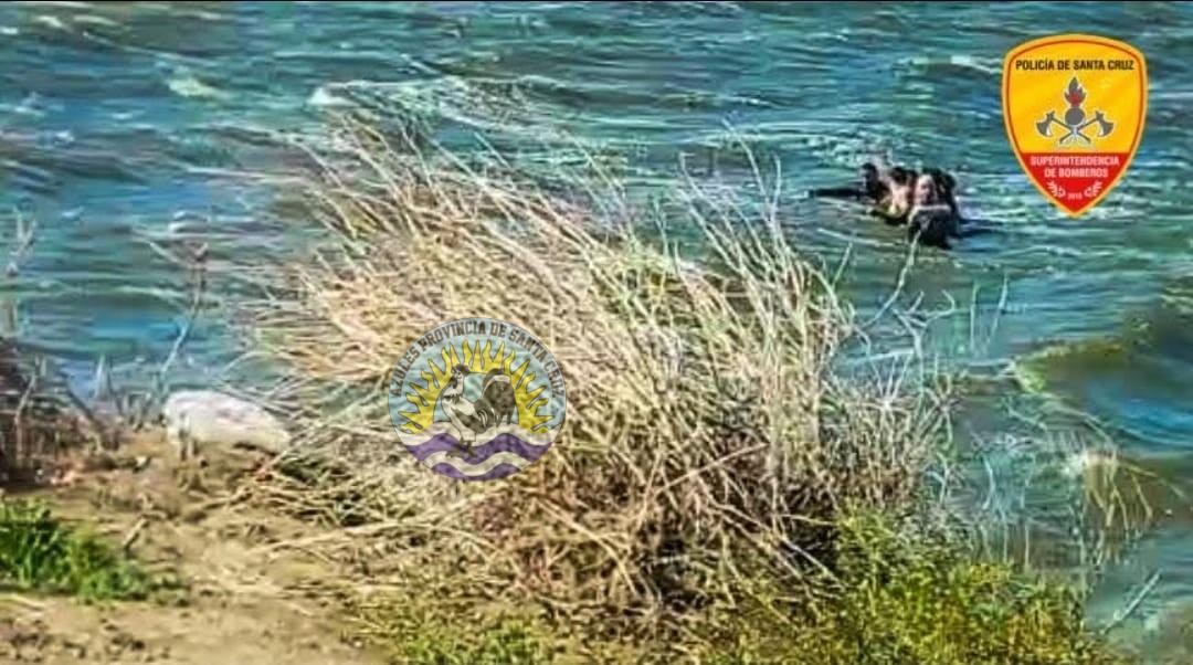 Exitosa intervención policial y bomberil - Rescate en la laguna Humedal Caleta Olivia (1)