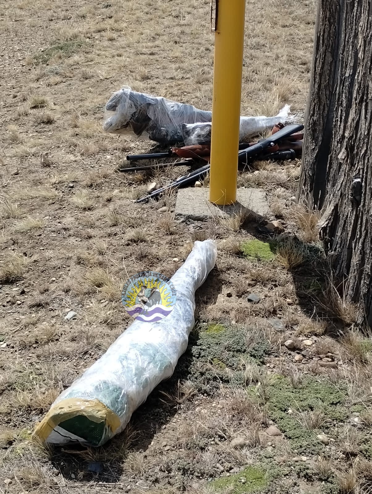 Río Gallegos - Recupero de armamento sustraído en chacra de la zona rural (2)