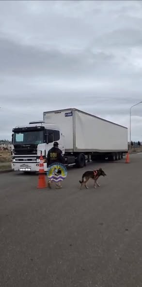 657348157_1614583523431862_7994044951991488723_n