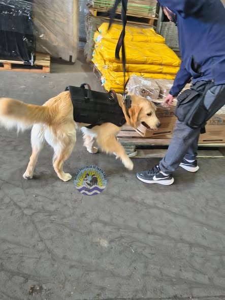 658140936_1618588499698031_7544369365582646823_n