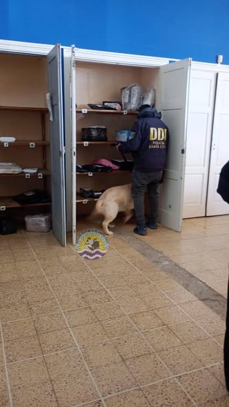 658209280_1618588529698028_5055157050809423107_n