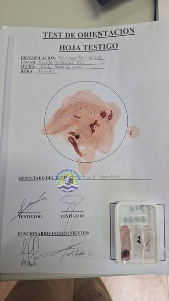 658828020_1615826099974271_7660479131047734014_n