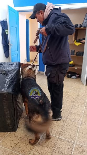 660447949_1618588443031370_1361981330256862761_n