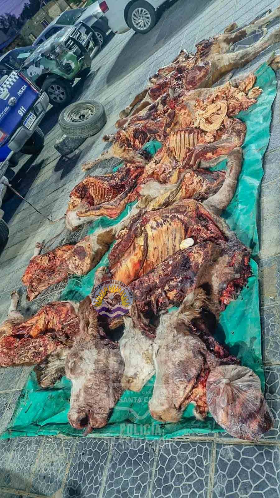 660469394_1623536212536593_7142371388272822916_n