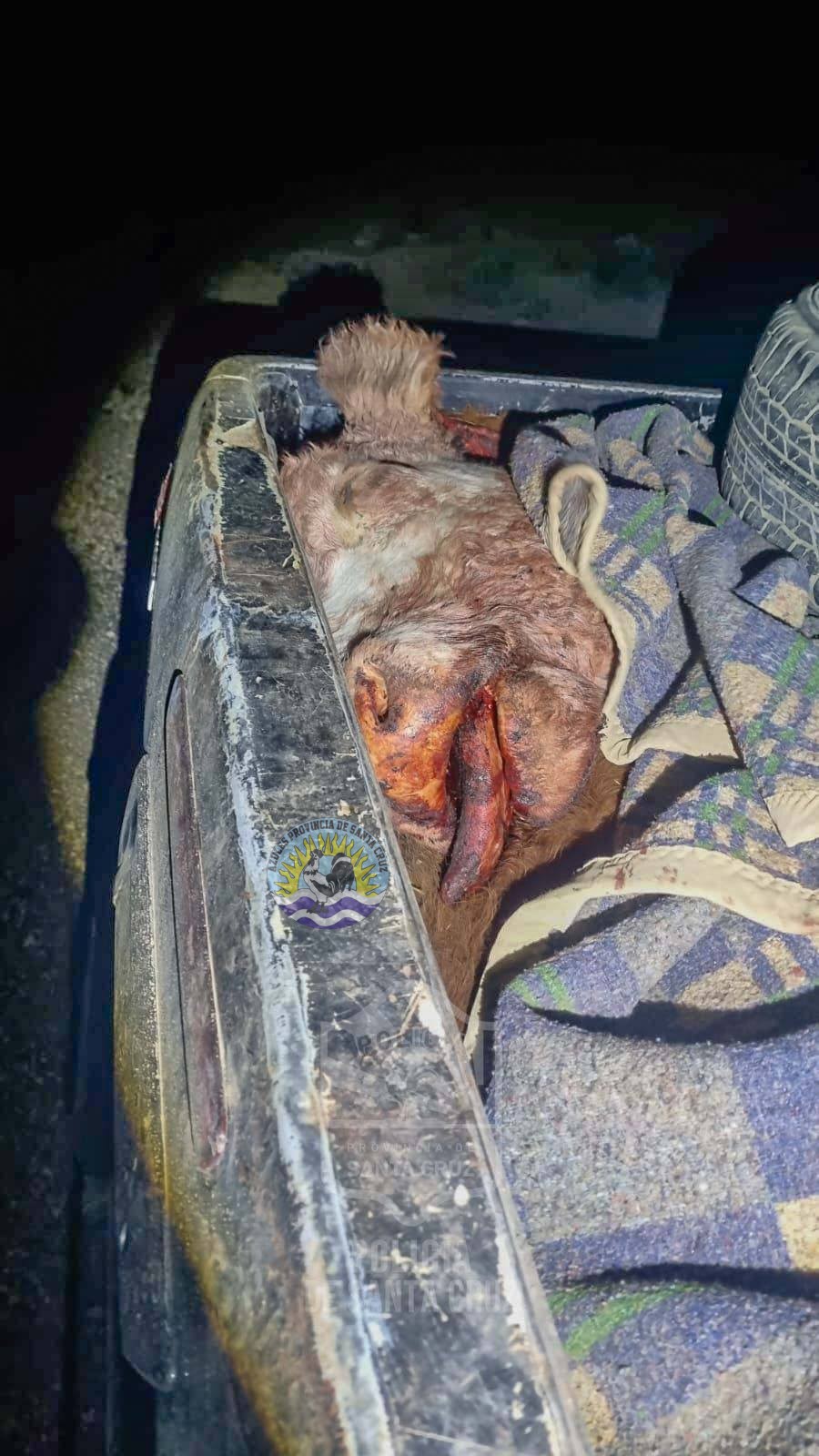 661481445_1623536045869943_5455004855306803314_n